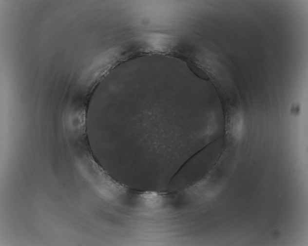 X0000111800425200907231214