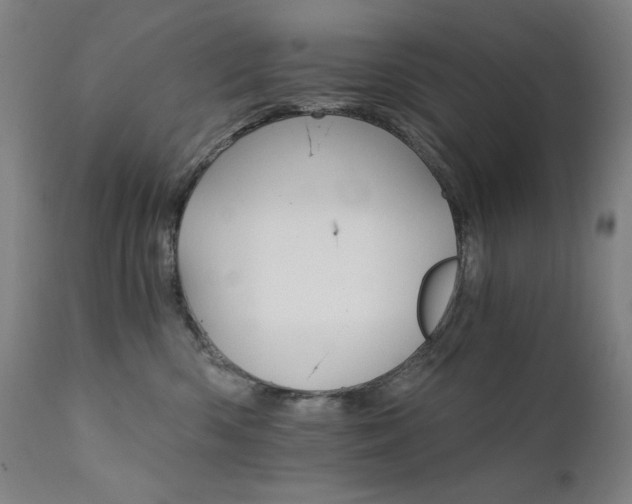 X0000111800426200907231214
