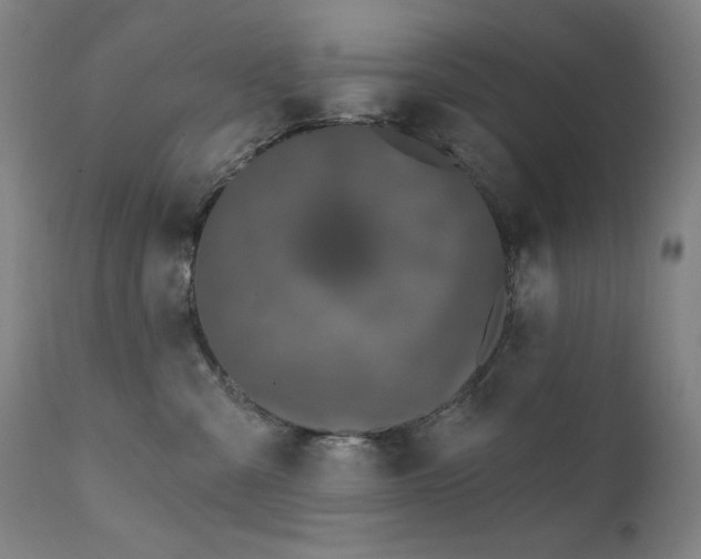X0000111800427200907231214