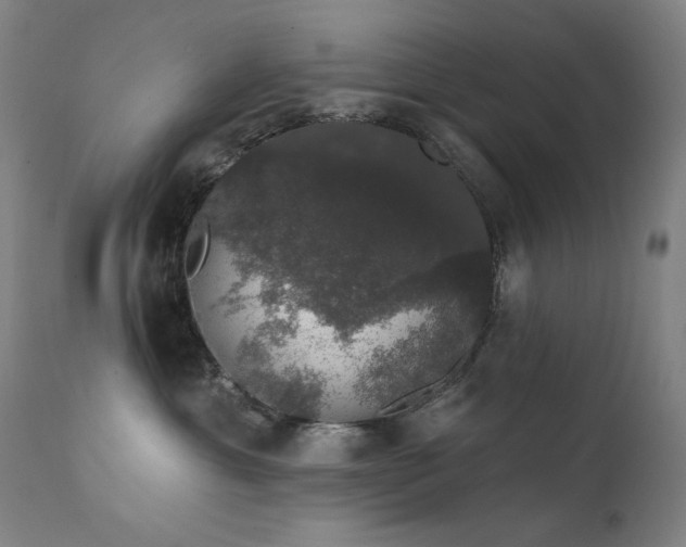 X0000111800429200907231214