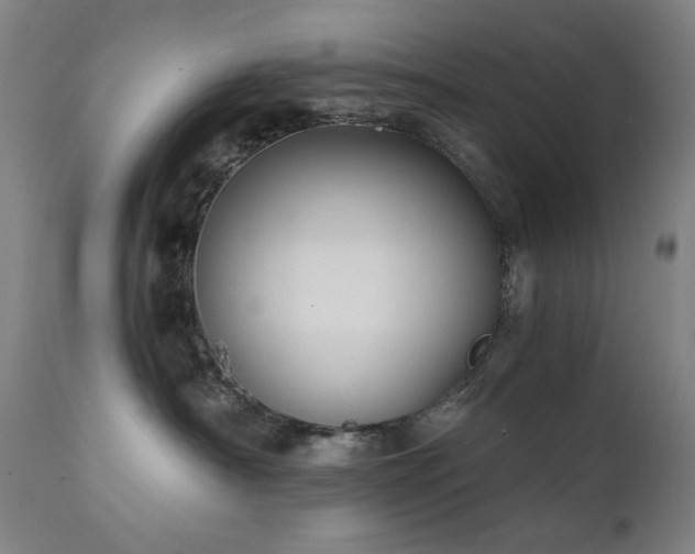 X0000111800430200907231214