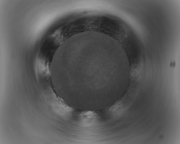 X0000111800431200907231214