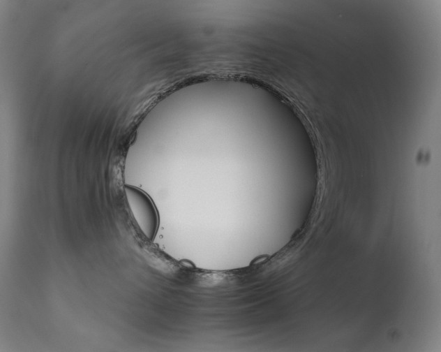 X0000111800432200907231214