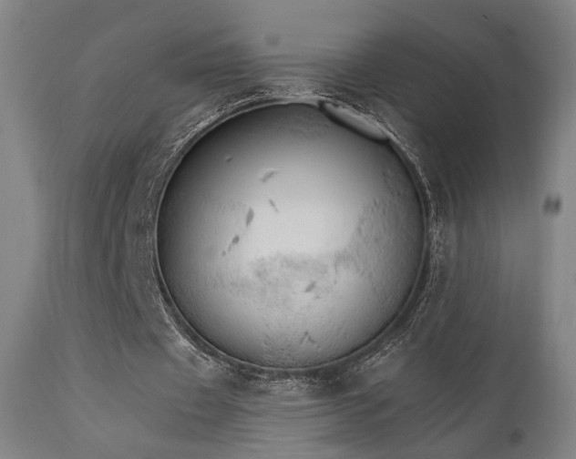 X0000111800433200907231213