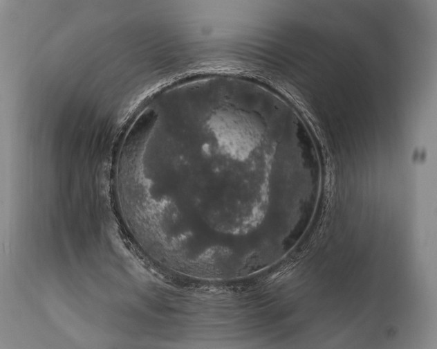 X0000111800434200907231214