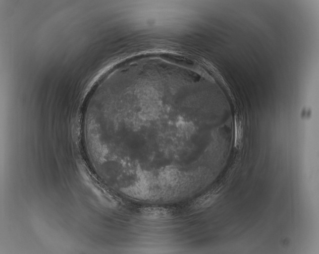 X0000111800435200907231214