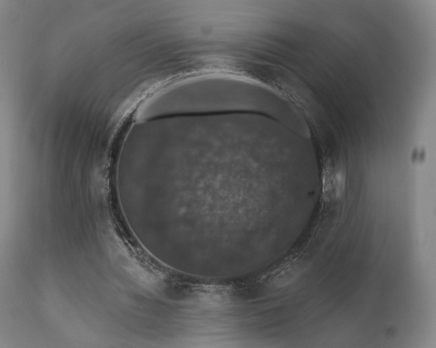 X0000111800436200907231214