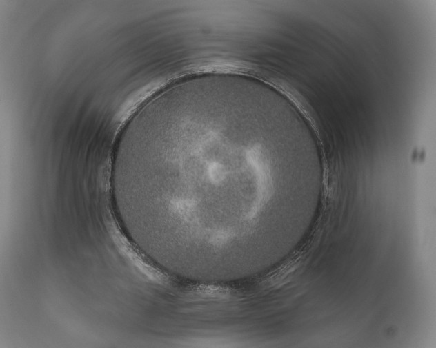 X0000111800437200907231214