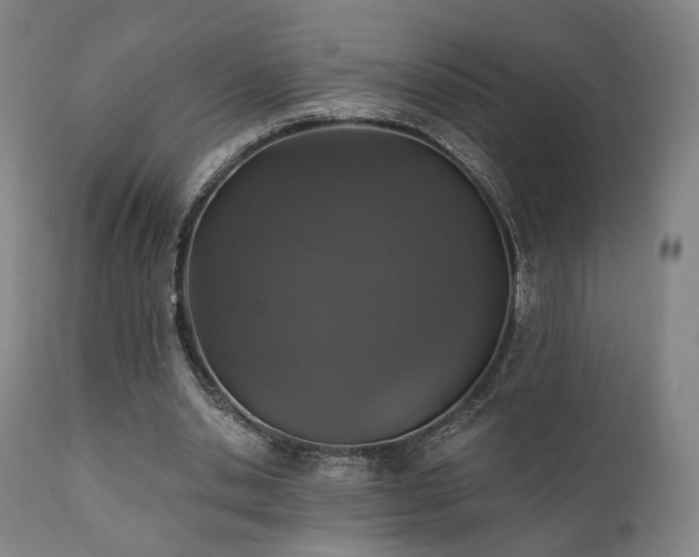 X0000111800438200907231214