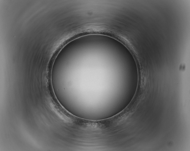 X0000111800439200907231214