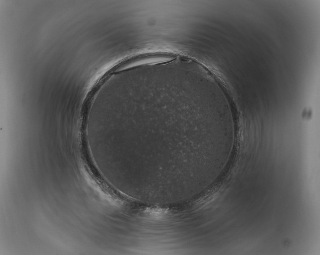X0000111800440200907231214