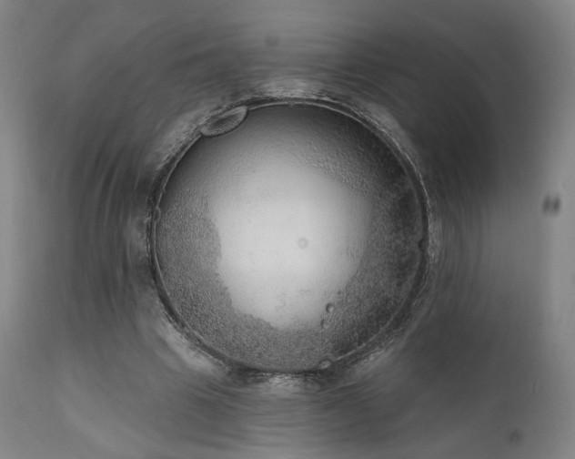 X0000111800441200907231214