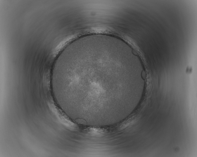X0000111800442200907231214