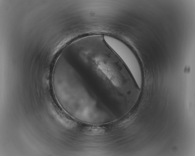 X0000111800443200907231214
