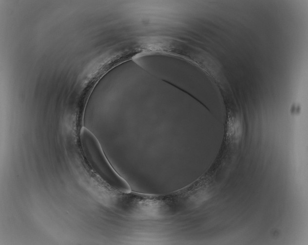 X0000111800444200907231214