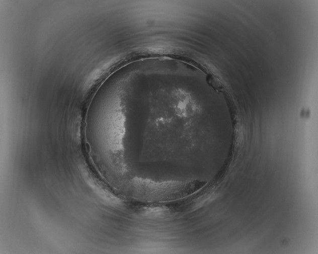 X0000111800446200907231214