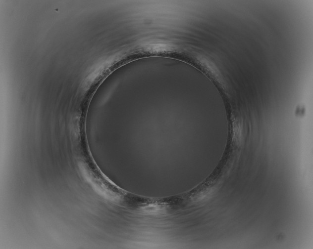 X0000111800447200907231214