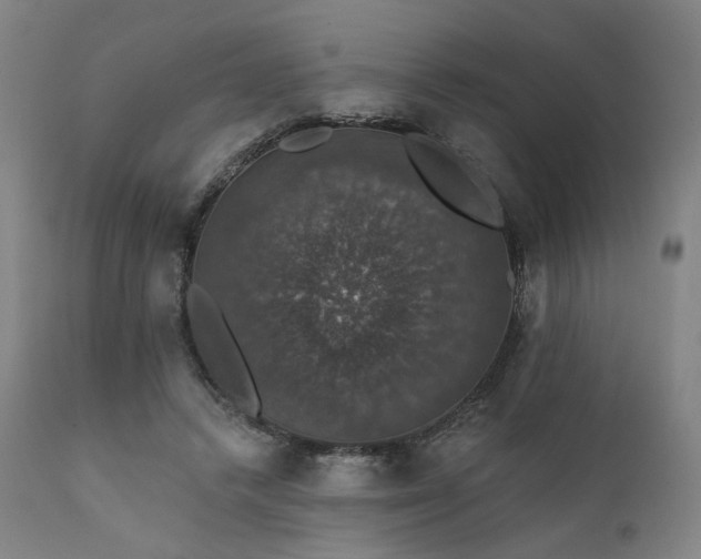 X0000111800448200907231214