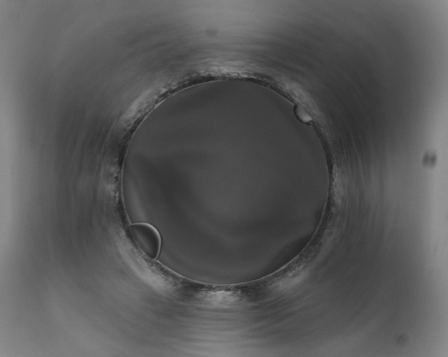 X0000111800449200907231214