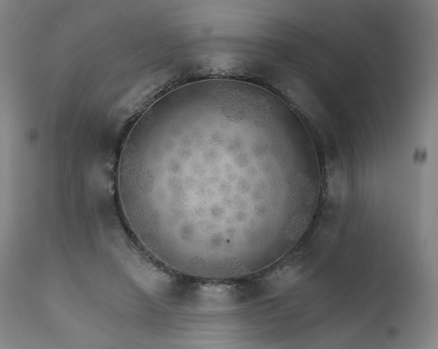 X0000111800450200907231214