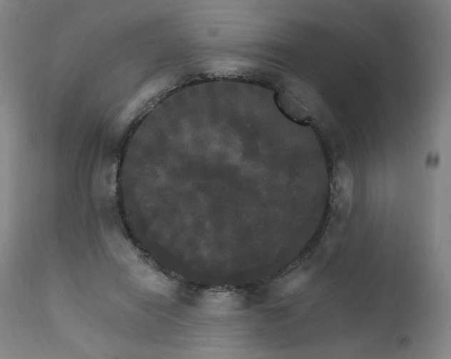X0000111800454200907231214