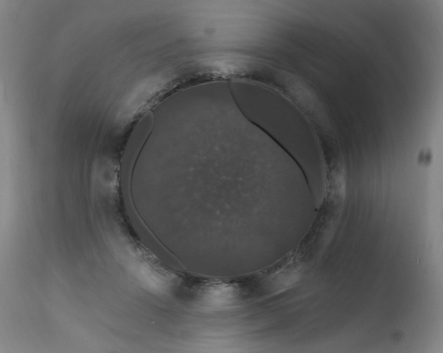 X0000111800456200907231214