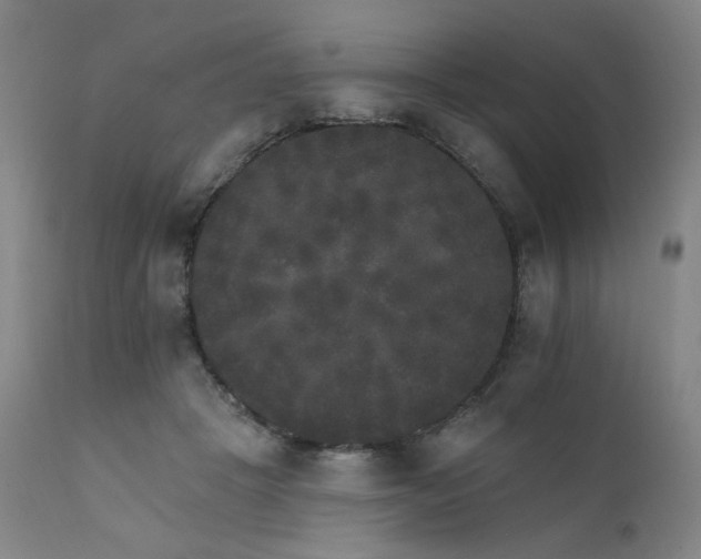 X0000111800457200907231214
