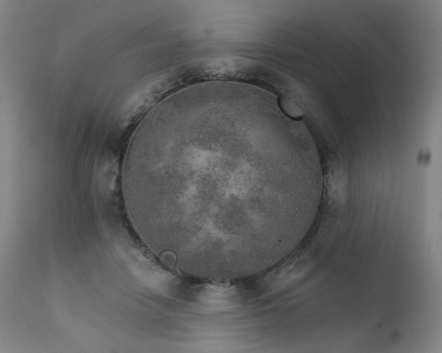 X0000111800458200907231214