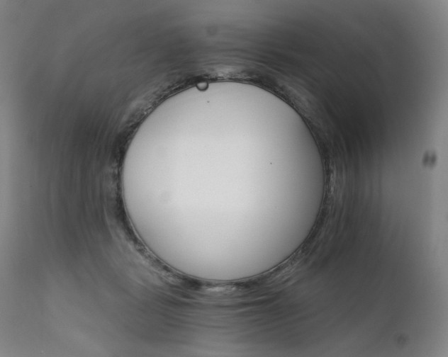 X0000111800461200907231214