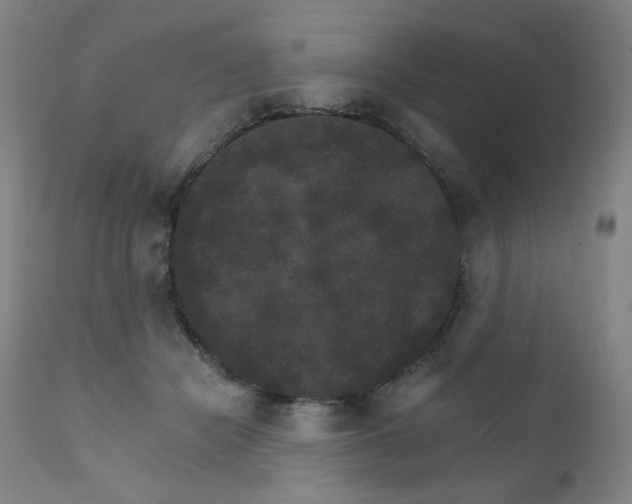 X0000111800462200907231214
