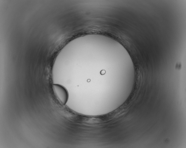 X0000111800463200907231214