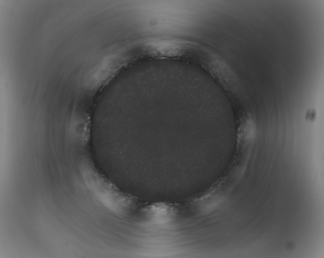 X0000111800464200907231214