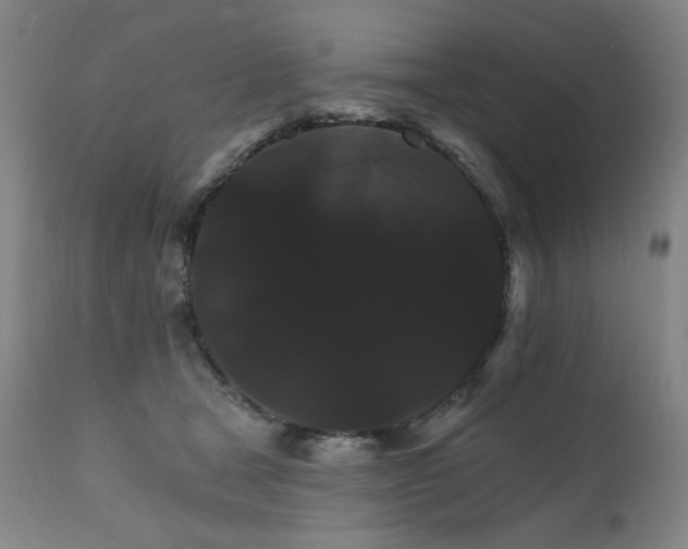 X0000111800465200907231214