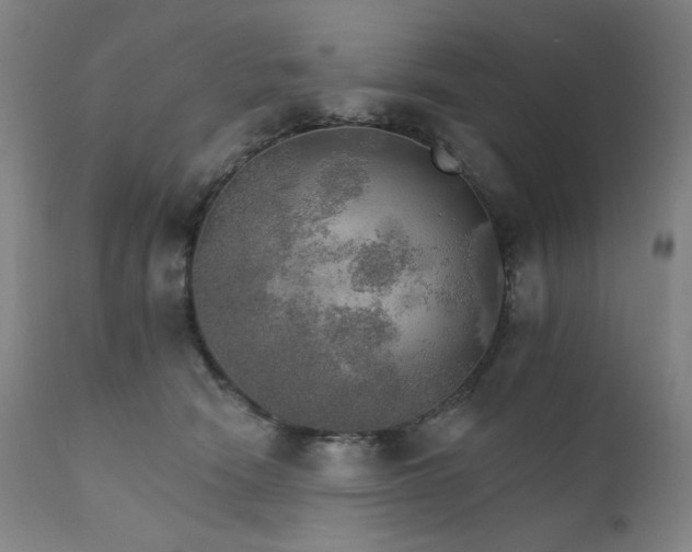 X0000111800466200907231214