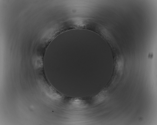 X0000111800467200907231214