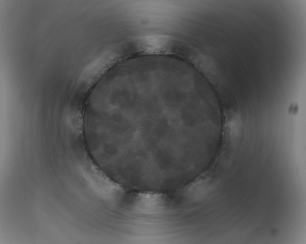 X0000111800469200907231214