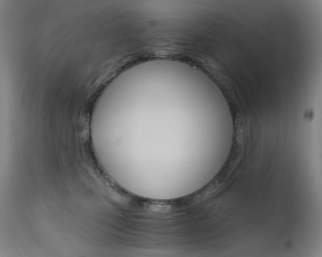 X0000111800471200907231214