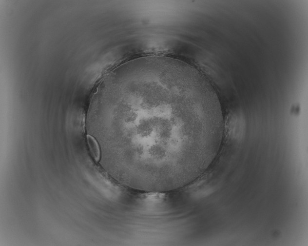 X0000111800474200907231214