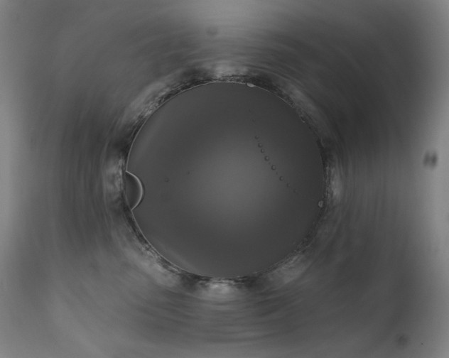X0000111800475200907231214