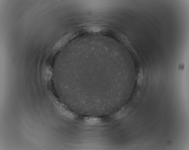 X0000111800476200907231214
