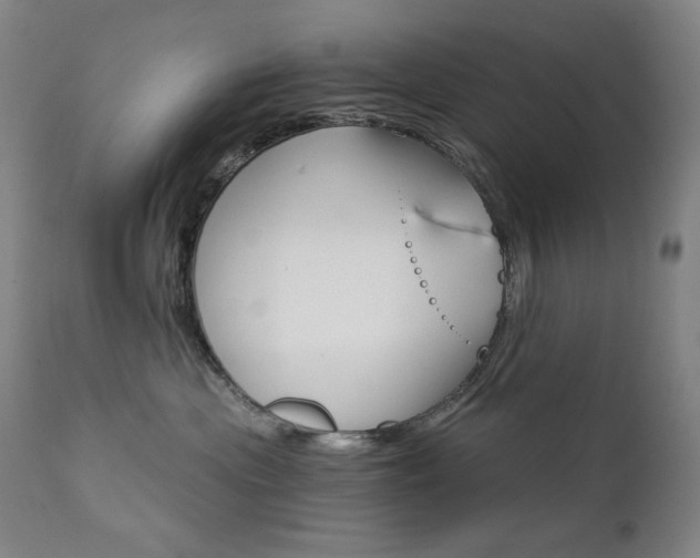 X0000111800477200907231214