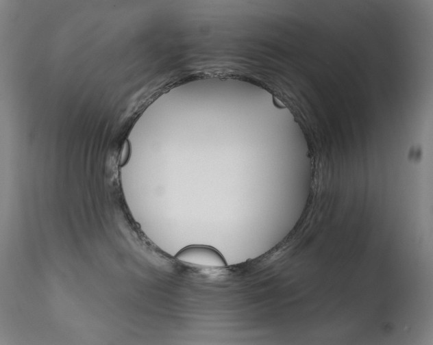 X0000111800478200907231214