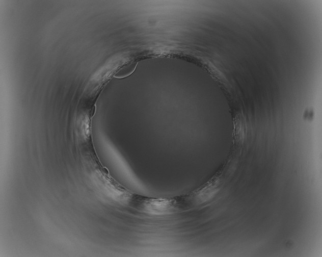 X0000111800479200907231214
