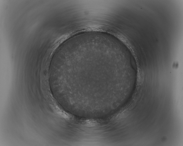 X0000111800481200907231213