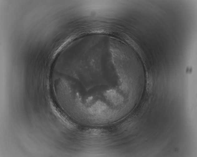 X0000111800482200907231213