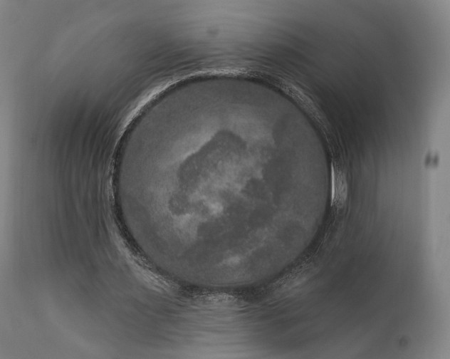 X0000111800483200907231213