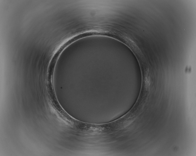 X0000111800484200907231213