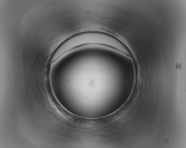 X0000111800485200907231213
