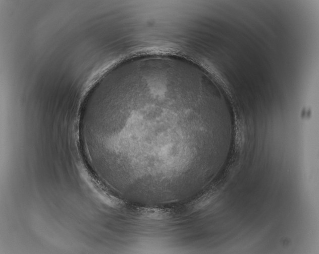X0000111800486200907231213
