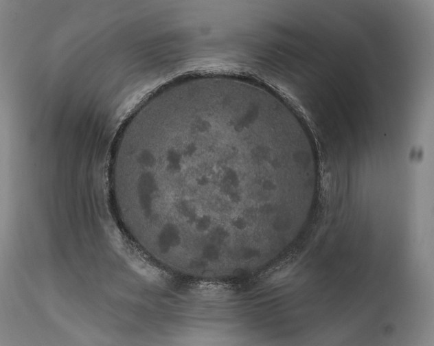 X0000111800487200907231213